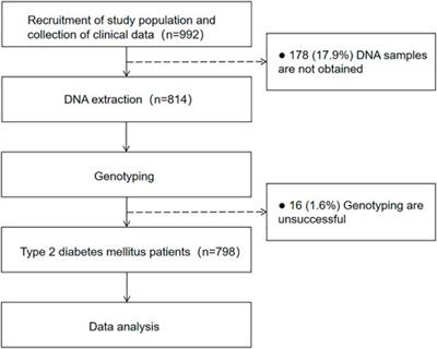 TRIB3 promoter 33 bp VNTR is associated with the risk of cerebrovascular disease in type 2 diabetic patients